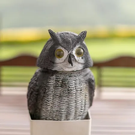 Belabieta - Baskeyrentals *