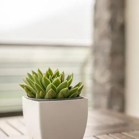 Belabieta - Baskeyrentals Appartement *