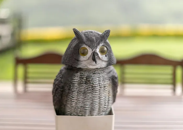 Belabieta - Baskeyrentals *