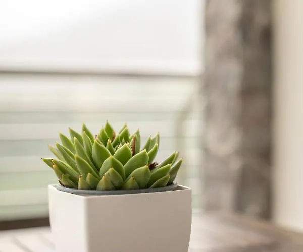 Belabieta - Baskeyrentals Apartment *